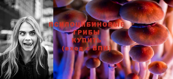 героин Алексин