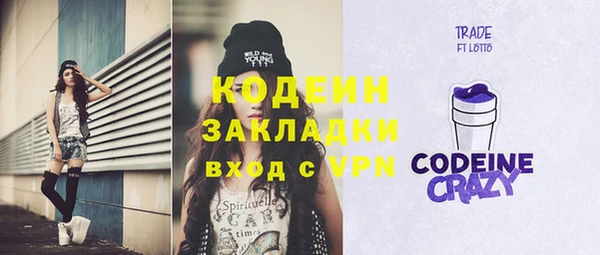 индика Абинск