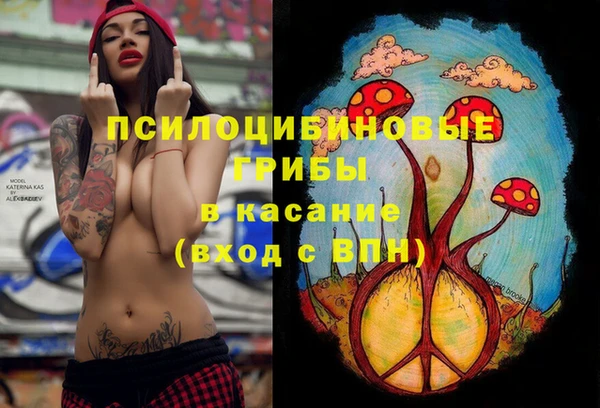 индика Абинск