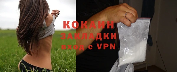 индика Абинск