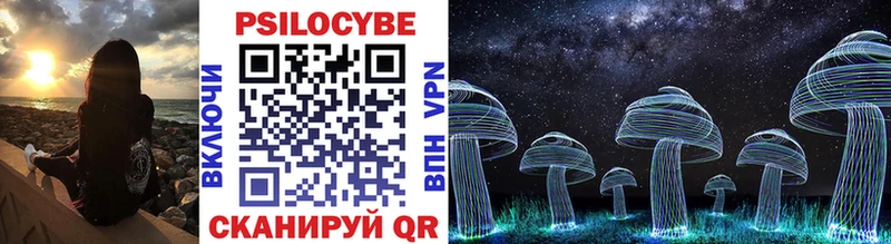 мориарти телеграм  Гусиноозёрск  Псилоцибиновые грибы Psilocybe 